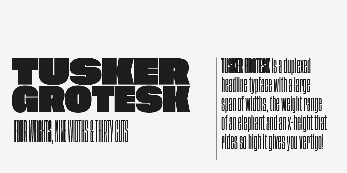 Tusker Grotesk